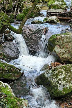 Gorges du Blavet - Bach